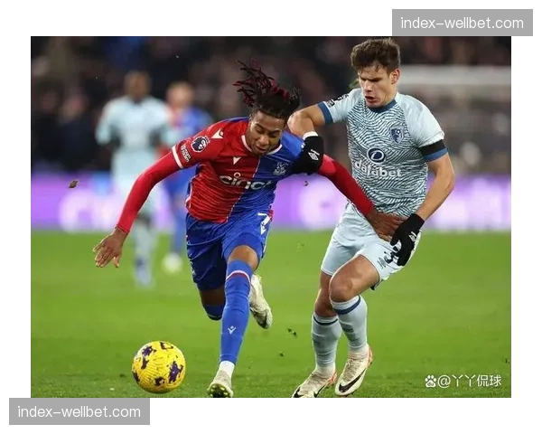 水晶宫纽卡斯尔2-1取胜 主场优势助老鹰脱离降级区